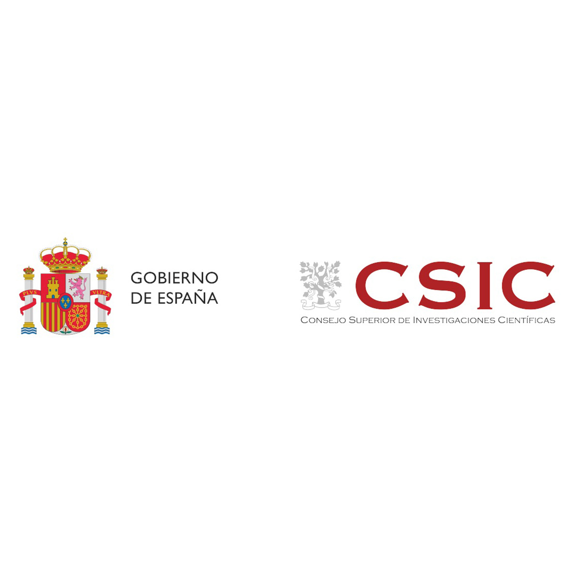 Colaboran: CSIC - Semanas de la Ciencia Navarra